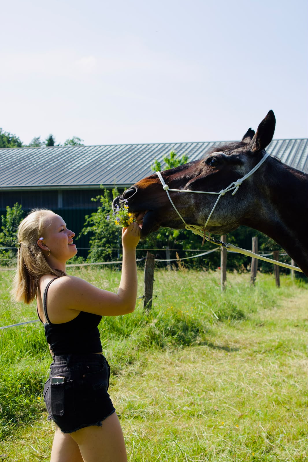 Neela Bockholt, Organisation bei der rasenden Pferdewaage
